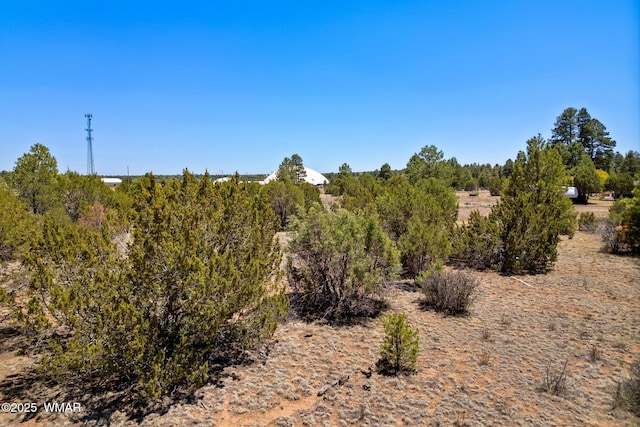 2821 Kelton Cir, Overgaard, AZ 85933