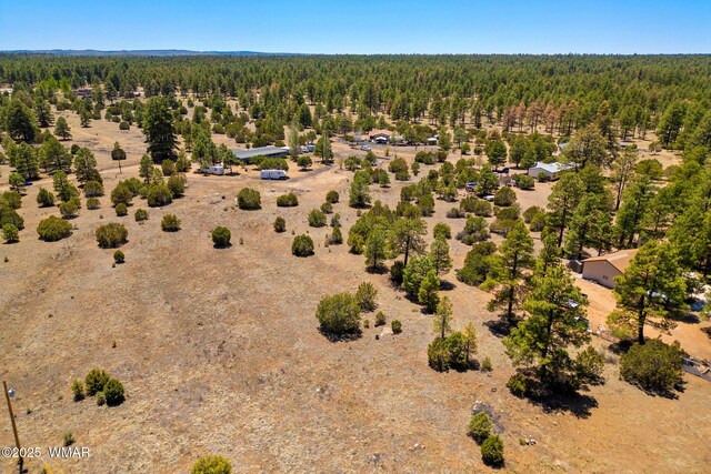 2821 Kelton Cir, Overgaard, AZ 85933