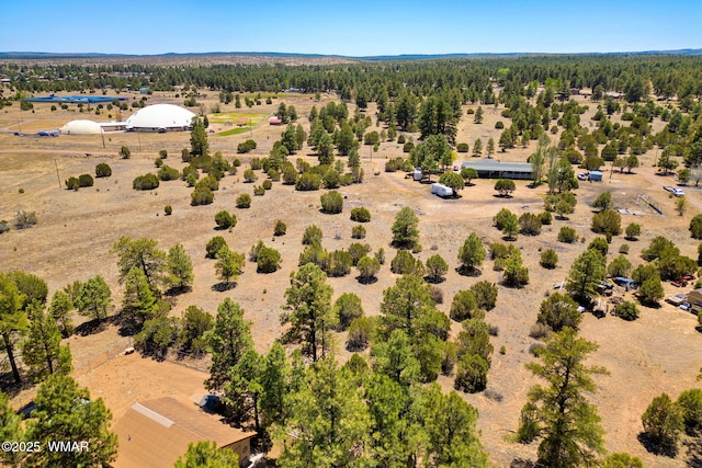 2821 Kelton Cir, Overgaard, AZ 85933