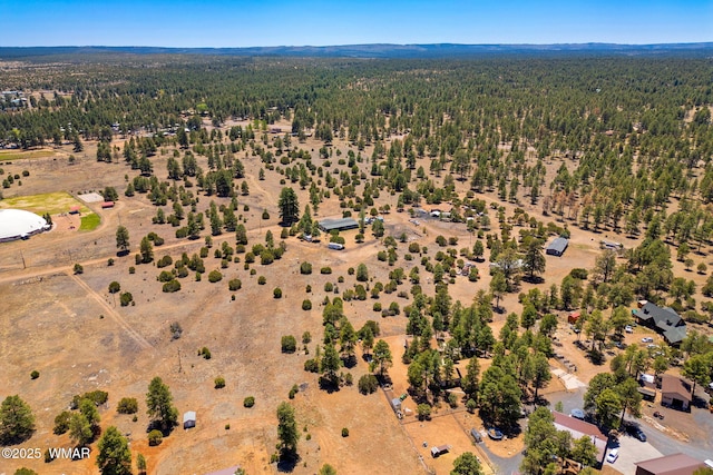 2821 Kelton Cir, Overgaard, AZ 85933