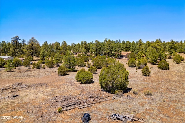 2821 Kelton Cir, Overgaard, AZ 85933