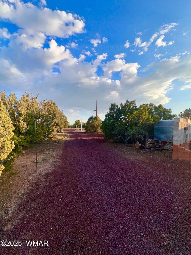 47 County Road 8306, Concho, AZ 85924 - photo 24