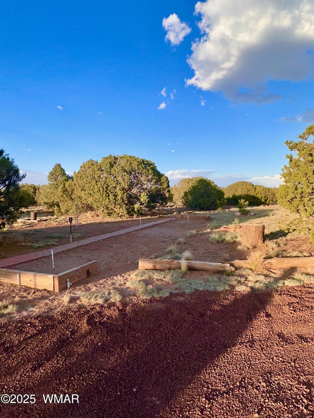 47 County Road 8306, Concho, AZ 85924 - photo 7