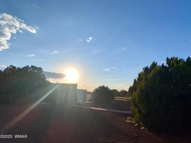 47 County Road 8306, Concho, AZ 85924 - photo 9