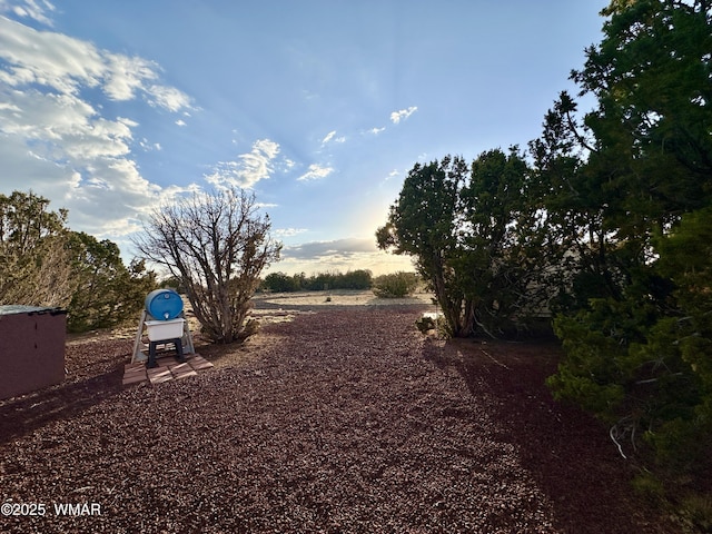 47 County Road 8306, Concho, AZ 85924 - photo 29