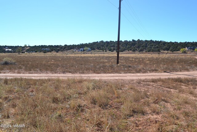 058P Bar Ditch Rd, Taylor, AZ 85939 - photo 6