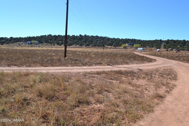 058P Bar Ditch Rd, Taylor, AZ 85939 - photo 5