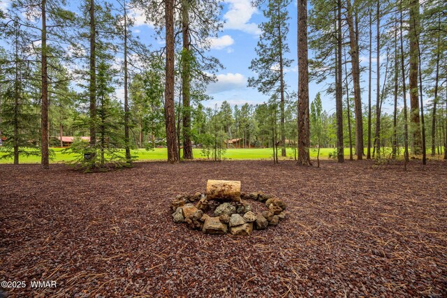 7161 Indian Bend Rd, Pinetop, AZ 85935 - photo 31