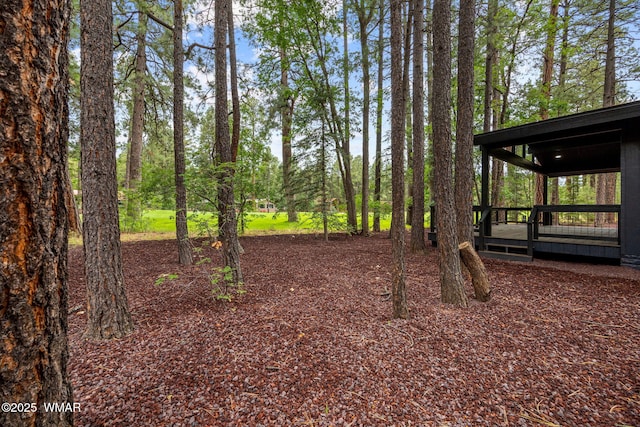 7161 Indian Bend Rd, Pinetop, AZ 85935 - photo 33