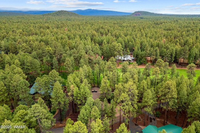 7161 Indian Bend Rd, Pinetop, AZ 85935 - photo 39