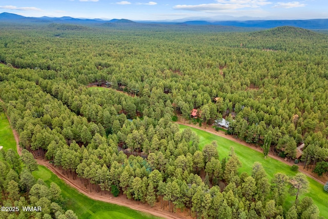 7161 Indian Bend Rd, Pinetop, AZ 85935 - photo 41