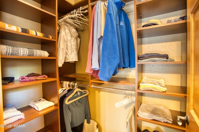 view of spacious closet