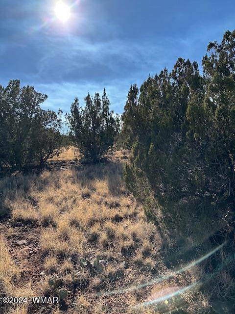 8429 Navajo Dr, Show Low AZ, 85901 land for sale