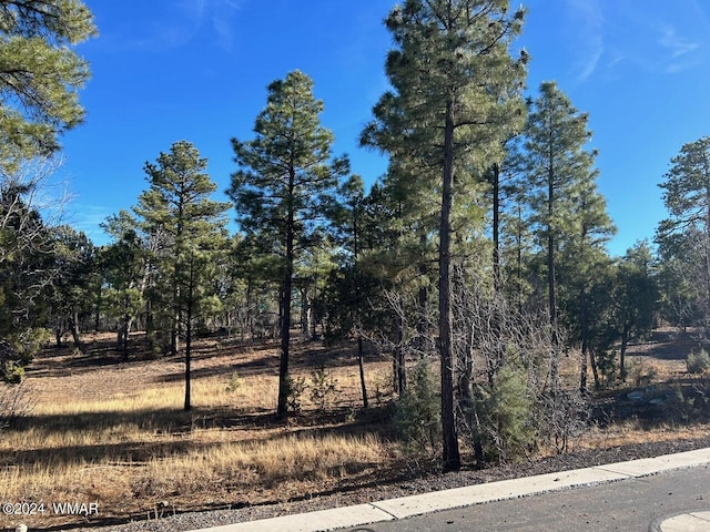 2260 S Snowy Ridge Loop, Show Low AZ, 85901 land for sale