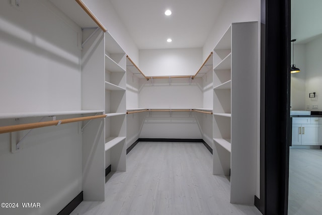 spacious closet with light wood-style flooring