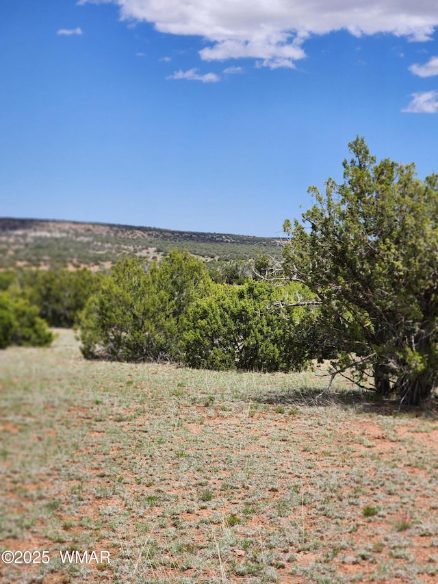 004B Raven, Show Low AZ, 85901 land for sale