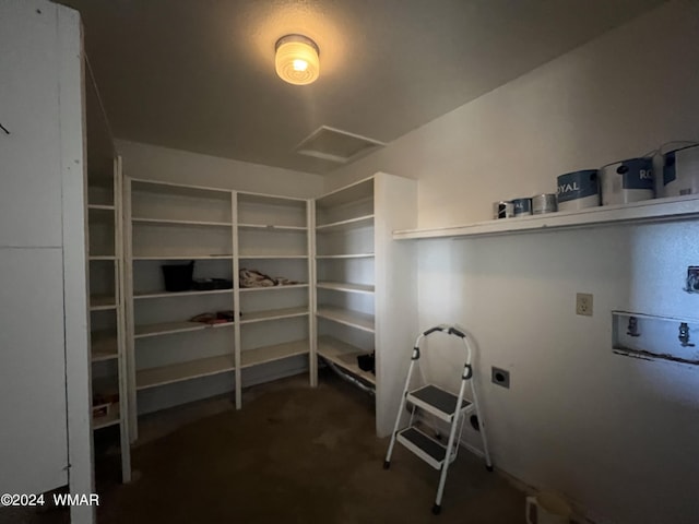 interior space featuring attic access