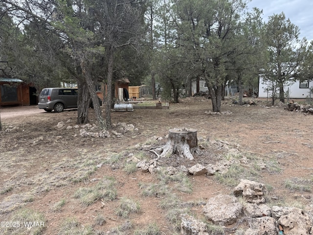 2181 Hashknife Dr, Overgaard, AZ 85933 - photo 2