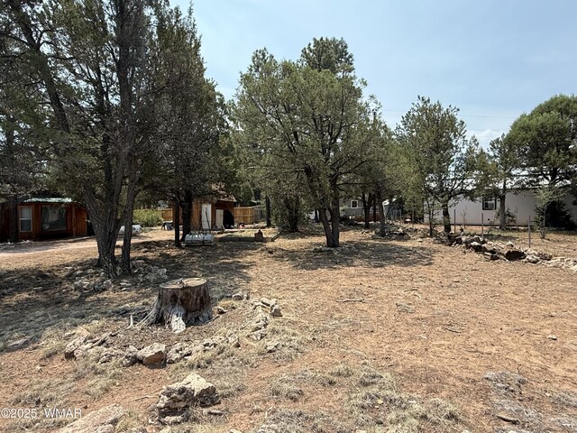 2181 Hashknife Dr, Overgaard, AZ 85933 - photo 9