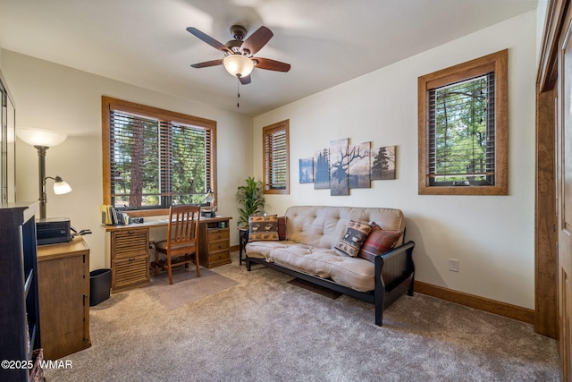 4241 W Wild Iris Ln, Show Low, AZ 85901 - photo 23