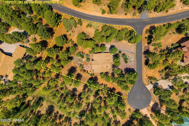 4241 W Wild Iris Ln, Show Low, AZ 85901 - photo 42
