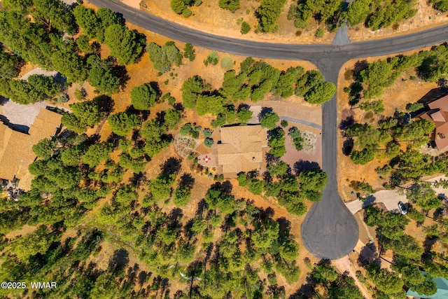 4241 W Wild Iris Ln, Show Low, AZ 85901 - photo 38