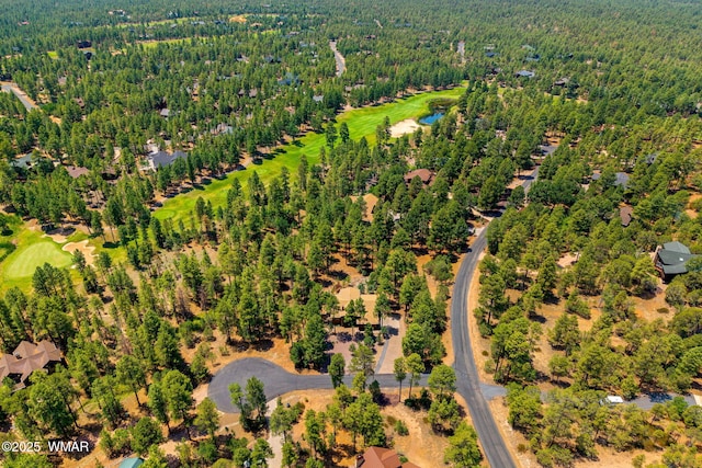4241 W Wild Iris Ln, Show Low, AZ 85901 - photo 40