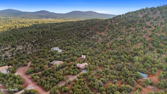 bird's eye view featuring a mountain view and a wooded view