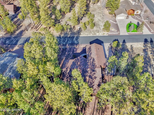 8505 Pinewood Dr, Pinetop, AZ 85935 - photo 12