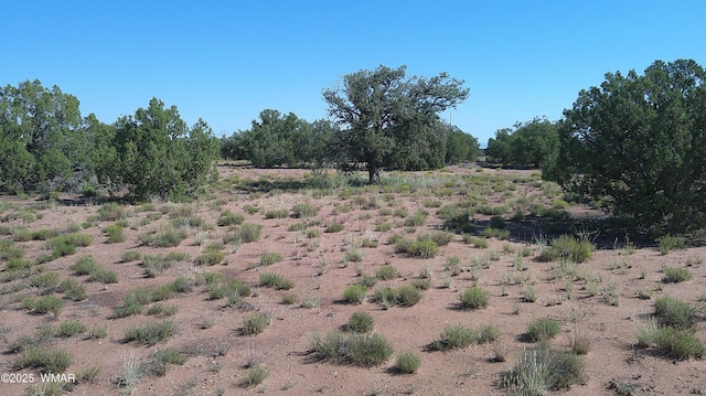 4434 Indian Bend Rd, Snowflake, AZ 85937