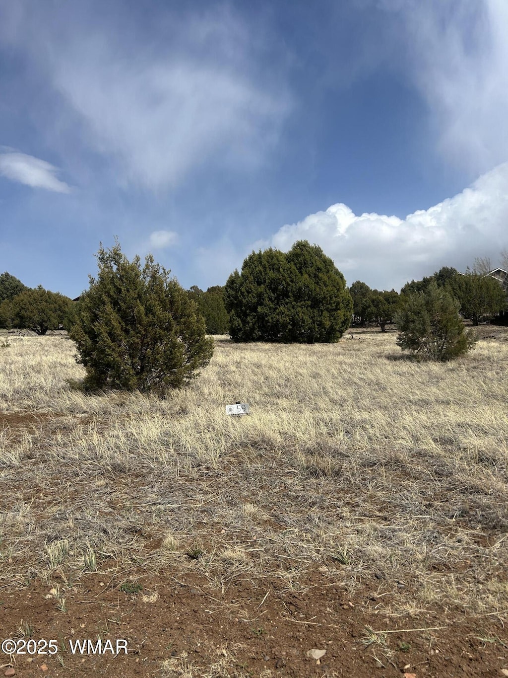 620 S Rock Ridge Drive 1A Lot 74, Show Low, AZ 85901