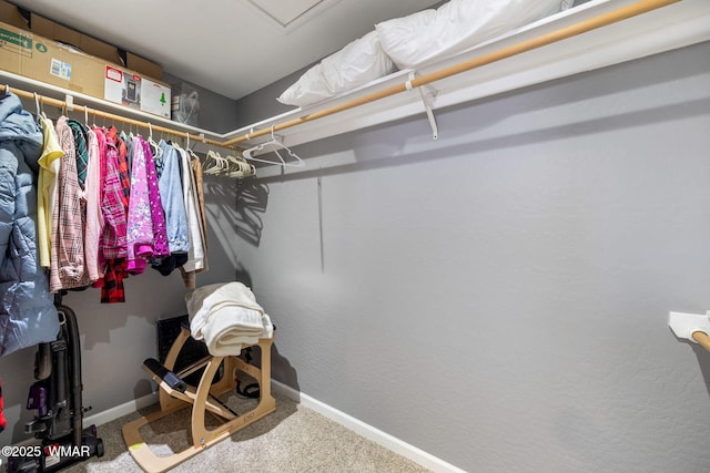 spacious closet with carpet