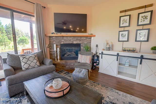 living room featuring a fireplace and wood finished floors