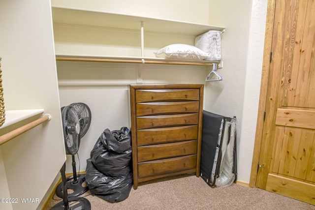 spacious closet featuring light carpet