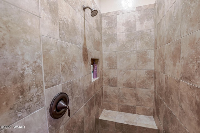 interior details featuring tiled shower