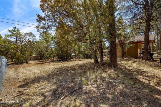 2979 Western Star Dr, Overgaard, AZ 85933 - photo 17
