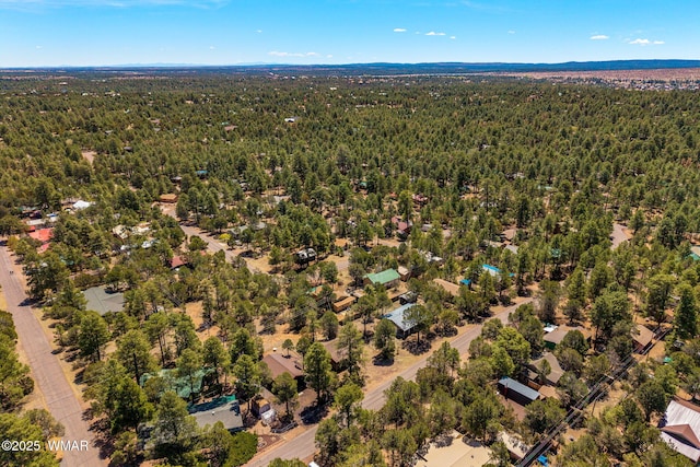 2979 Western Star Dr, Overgaard, AZ 85933