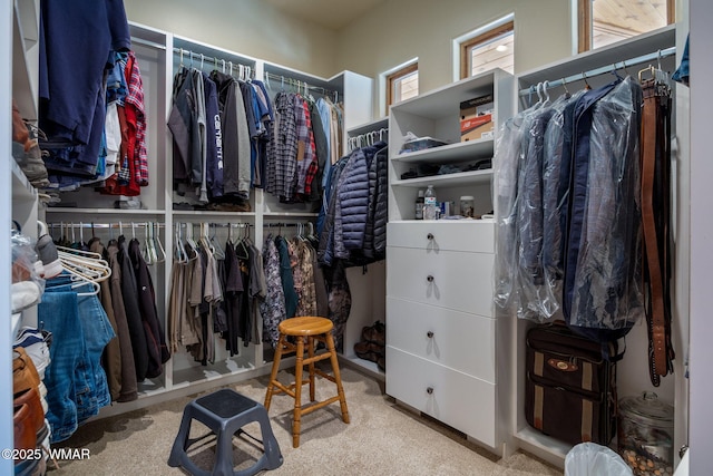 2320 Chandelle Ln, Overgaard, AZ 85933 - spacious closet featuring carpet floors