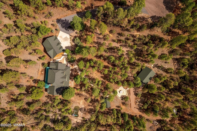 2320 Chandelle Ln, Overgaard, AZ 85933 - aerial view
