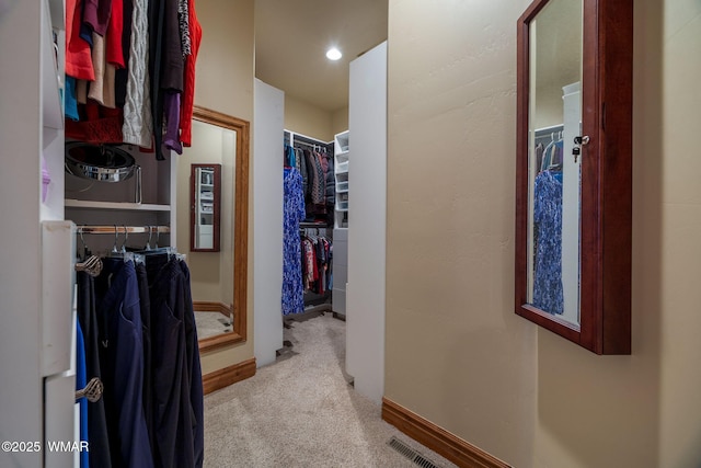 2320 Chandelle Ln, Overgaard, AZ 85933 - walk in closet with carpet