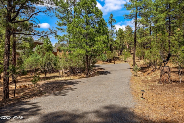2320 Chandelle Ln, Overgaard, AZ 85933 - view of asphalt driveway