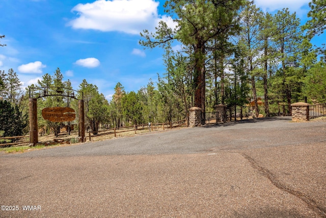 2320 Chandelle Ln, Overgaard, AZ 85933 - view of asphalt road