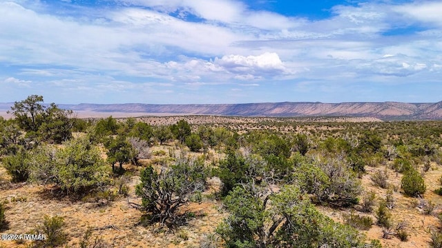 Listing photo 3 for TBD Waterloo Way, Seligman AZ 86337