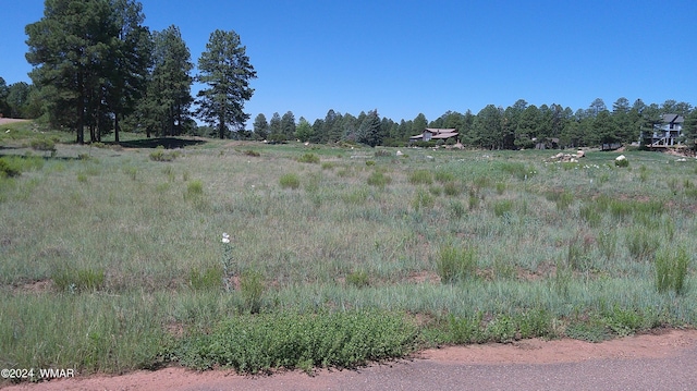 2271 Green Cove Dr, Overgaard AZ, 85928 land for sale