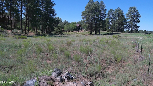 Listing photo 3 for 2271 Green Cove Dr, Overgaard AZ 85928