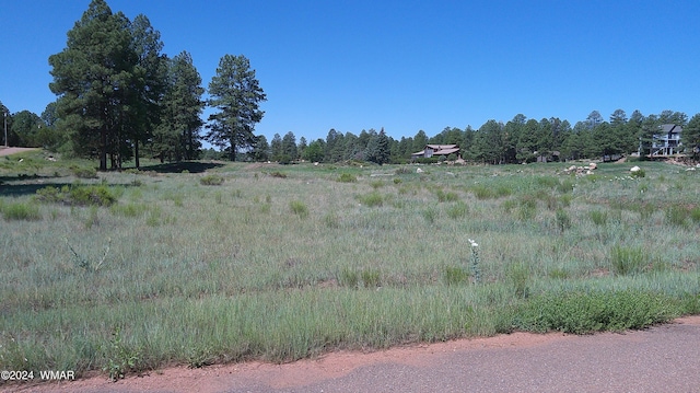 Listing photo 2 for 2271 Green Cove Dr, Overgaard AZ 85928