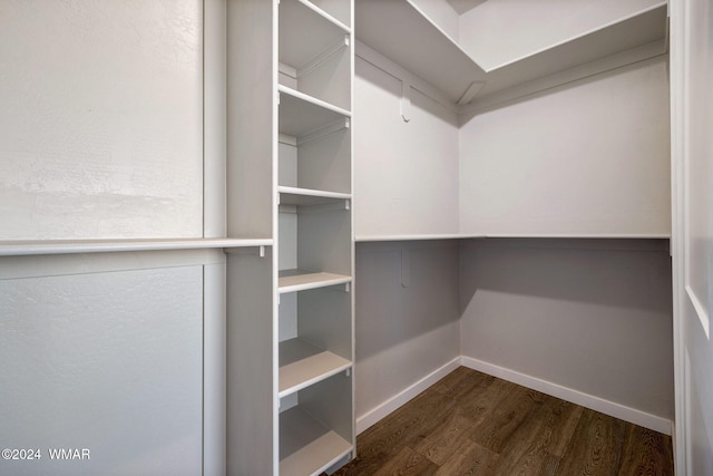 spacious closet featuring dark wood-type flooring