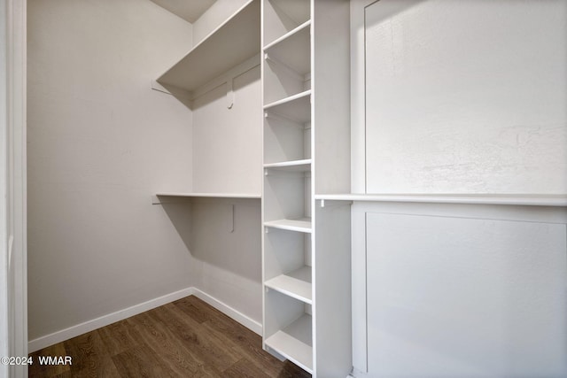 spacious closet with dark wood finished floors