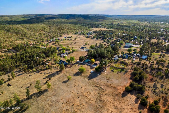 5492 Rd To The Past, Pinedale, AZ 85934 - photo 40