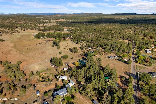 5492 Rd To The Past, Pinedale, AZ 85934 - photo 38